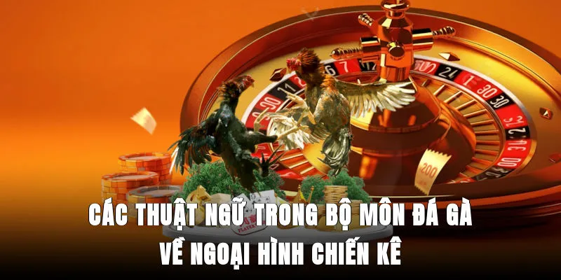 cac-thuat-ngu-trong-bo-mon-da-ga-ve-ngoai-hinh-chien-ke
