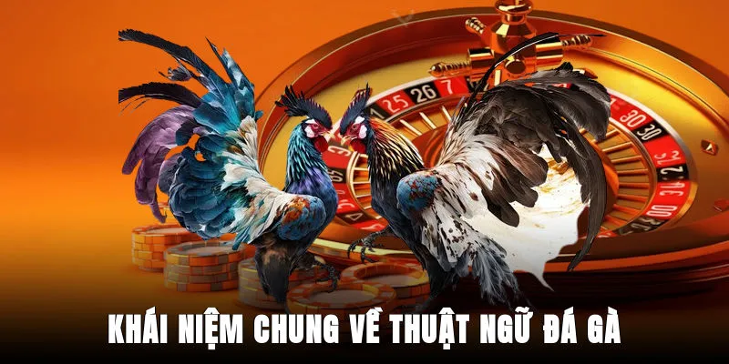 khai-niem-chung-ve-thuat-ngu-da-ga