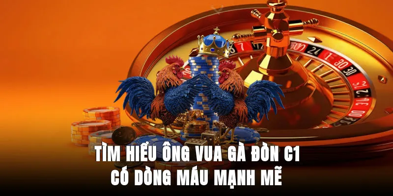 tim-hieu-ong-vua-ga-don-c1-co-dong-mau-manh-me
