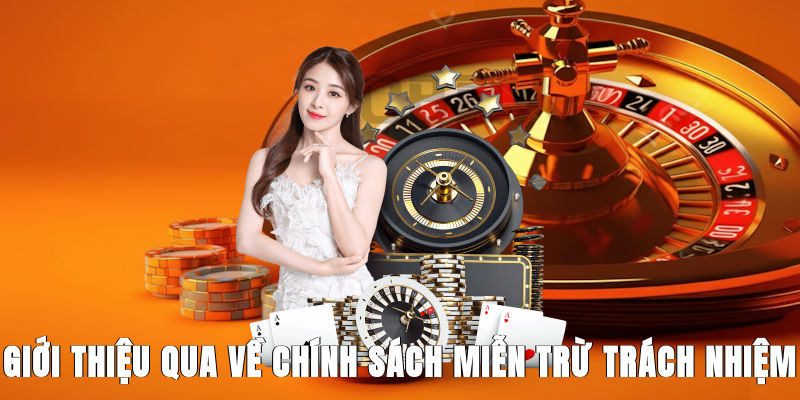 gioi-thieu-qua-ve-chinh-sach-mien-tru-trach-nhiem-1