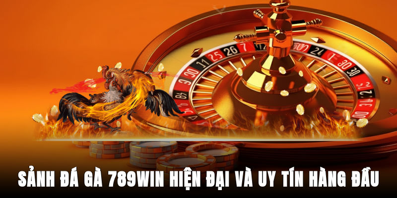 sanh-da-ga-789win-hien-dai-va-uy-tin-hang-dau-11