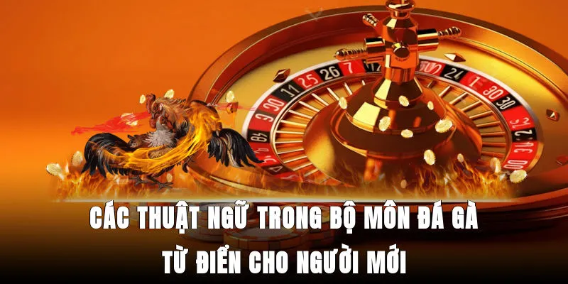 cac-thuat-ngu-trong-bo-mon-da-ga