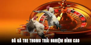 da-ga-tre-thomo-trai-nghiem-dinh-cao